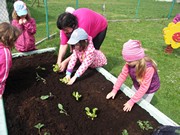 Zahradničíme ve školce